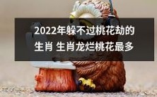 2022年无法逃脱桃花缠身命运的十二生肖，其中以龙为甚，桃花祸害最多
