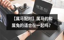 【十二生肖配对】属马和属兔能否成为完美组合？探究马兔配对的性格和缘分匹配度