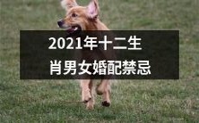 2021年十二生肖男女婚配禁忌：必读指南！避免婚姻厄运、提高婚姻质量的秘诀！