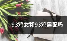 是否适合将93年属鸡的女性和93年属鸡的男性进行配对？
