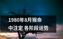 1980年8月出生的人，注定要经历各阶段的不同运势