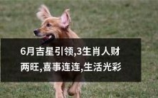 6月吉星引领，三生肖人财两旺，好运接连不断，生活光彩照人