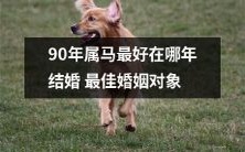 根据属马的生肖，最佳婚姻对象在哪一年？90年属马群体的结婚指南！