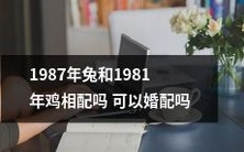 在中国农历 Zodiac 纪年中，1987年兔和1981年鸡遇上是否适合婚姻匹配？
