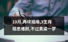 10月续写姻缘：三个生肖痴情难舍，只怕这段黄粱一梦难长久