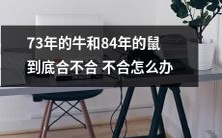 如何解决73年生的牛和84年生的鼠之间的不和谐状态？