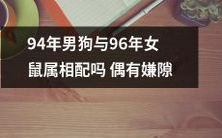 能否兼容：1994年生肖狗男和1996年属鼠女是否有矛盾？