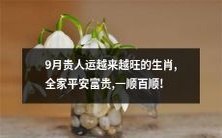 9月贵人相伴，生肖好运连连，祥瑞缭绕，全家福泽满满，平安富贵百事顺遂！