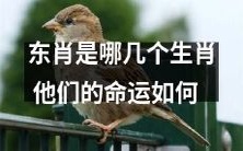 探究东方文化中的十二生肖，究其命运奥秘！北斗七星中究竟是哪几只动物，它们的财富、爱情和事业运如何？