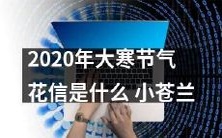 2020年大寒节气的花语是什么？了解一下小苍兰的含义吧！