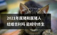2021年的婚姻风水：探讨属猪和属猪人的婚姻，是否吉利并能相守终生？