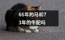 能否将出生于不同年份的动物进行配种实验——66年出生的马与73年出生的牛之间的配合研究