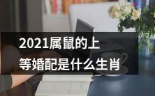 2021年属鼠人最理想的婚姻匹配是哪些生肖？