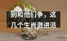 避免争执！多个激进派成员的生肖，不要惹他们生气！