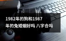 1982年出生的狗和1987年出生的兔的婚姻是否合适？八字是否相符？