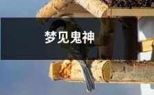 在梦中遭遇神秘超自然力量：探索梦境中的鬼神之谜