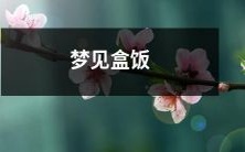 遭遇神奇盒饭梦境-饱食幸福感引领着深入沉思的饮食思维启示录