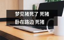 躺在路边，令人不禁深思人生意义的梦境