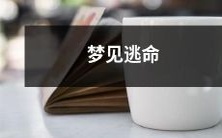 在梦中逃命：恐慌和不安中寻找出路的梦幻世界