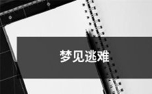 在梦中经历逃离危险地带的惊险旅程：一场逃难的梦境体验