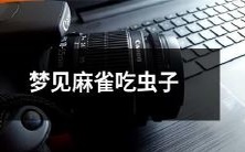 在梦中目击麻雀以食蚁为生的场景