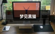 在梦中遇见黑色的猫咪，这一幕会给你带来什么含义？