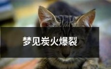 在梦中目睹炭火猛烈爆裂的惊慌景象
