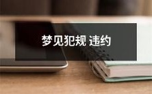 在梦中意外犯规违约：思考潜意识中的内心冲突与负罪感
