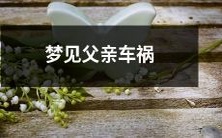 梦见亲爱的父亲遭遇车祸的情景浮现在梦中