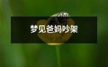 在梦中目睹父母发生争吵的经历：一次情感上的挑战？