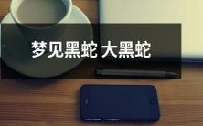 出现在梦中的生动而恐怖的场景：黑蛇巨型化的梦境，让人胆寒不已！