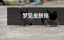 在梦中经历皮肤瘙痒的原因及其可能传达的暗示