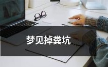 在睡梦中遭遇恶臭的场景——梦见自己不慎跌入粪坑！