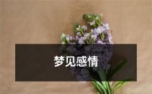 被揉捏：探索梦境中情感层面的暗示和启示