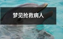 在梦中体验抢救病人的紧张情境和充满挑战的场景