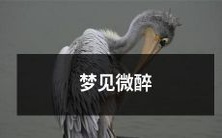 的情人在异国他乡微笑，唤醒你深埋心底的爱情梦，让你重燃激情与希望！