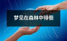 在茂密的林间中徘徊，探索一个神秘的梦境世界