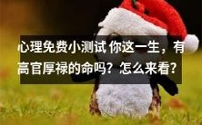 揭示你一生中是否注定拥有高官厚禄的命运的心理免费小测试，如何解读结果？