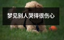 在梦中目睹他人深情哭泣引发的心理波动和象征意义探讨