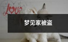 在梦中经历家居被盗的梦境：一场充满紧张和惊慌的睡梦体验