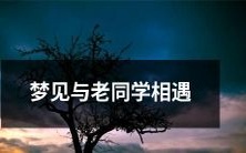 深夜梦回：重逢老友，共话往日情谊
