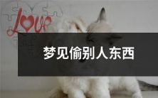 小梦境：我在梦中偷走别人的物品而感到愧疚，究竟是潜意识的映射还是反映了人性的复杂性？