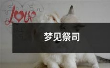 在夜晚的梦境中遇见神秘祭司，陷入神秘而奇妙的世界