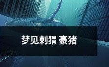 在梦中遇见了一只兼具刺猬与豪猪特点的奇怪生物