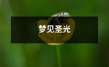 洒落在迷茫人生中的圣光：我在梦中触摸到了未来的希望！