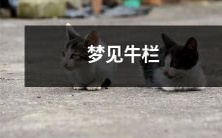 今夜睡梦中的场景：我在梦见一栋精致的牛栏，里面的牛群欢快地奔跑着，透过栅栏缝隙的阳光照耀在它们的毛发上，惟妙惟肖的景象令我循环思考！