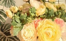 为什么我的星座无法在应用中显示？