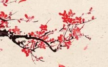 预测: 2023年属马人的运势展望及建议