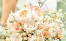 水瓶座的生日花是哪些？探究水瓶座生日花的文化背景、象征意义与选购建议