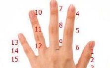 包含详细解析的全面女性手相图集：揭示感情线玄机